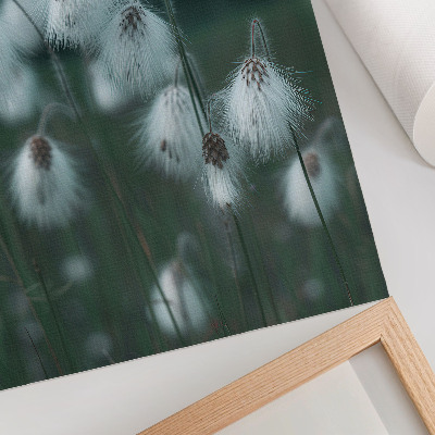 Poster Spighe d'erba leggere, delicatezza, blu, pace