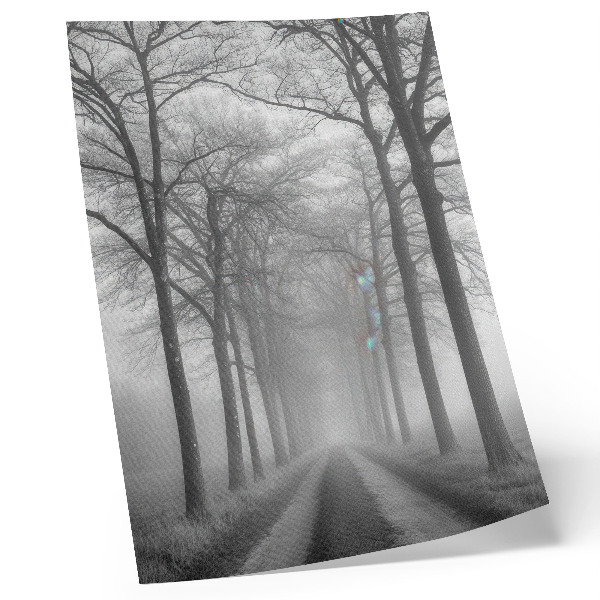 Poster Misty Tree Alley - Minimalismo moderno