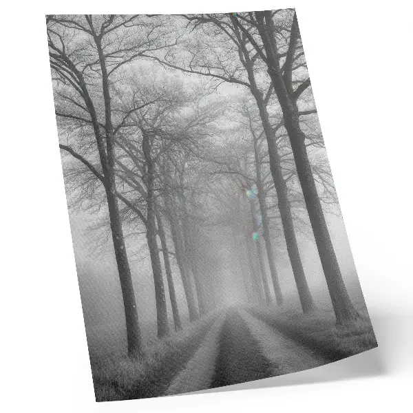 Poster viale alberato nebbioso in stile minimalista moderno