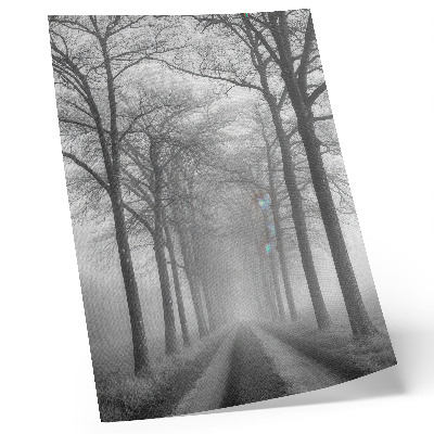 Poster Misty Tree Alley - Minimalismo moderno