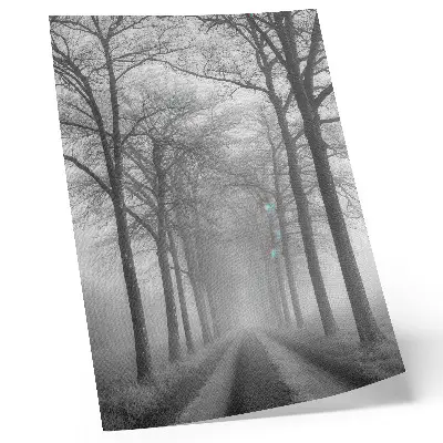 Poster viale alberato nebbioso in stile minimalista moderno