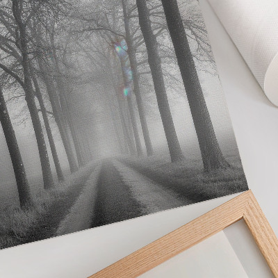 Poster Misty Tree Alley - Minimalismo moderno