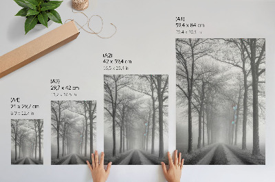 Poster Misty Tree Alley - Minimalismo moderno