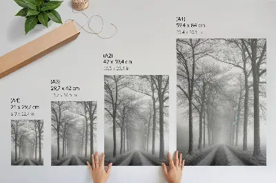 Poster viale alberato nebbioso in stile minimalista moderno