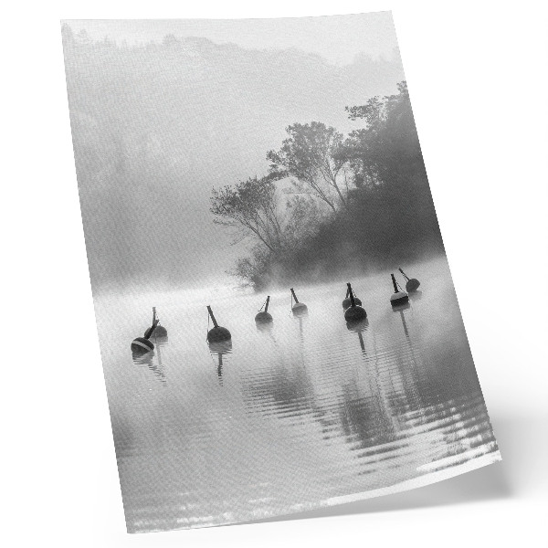 Stampa su tela Paesaggio in bianco e nero con boe e nebbia