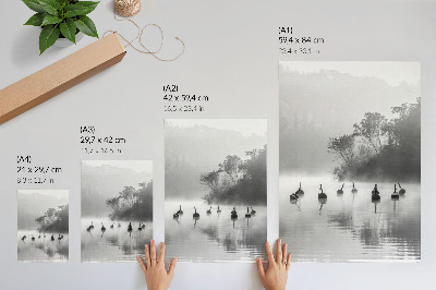Stampa su tela Paesaggio in bianco e nero con boe e nebbia