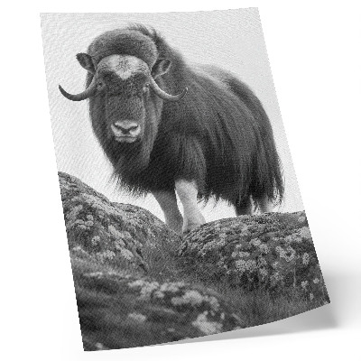 Stampa su tela Eleganza della natura selvaggia in bianco e nero animale