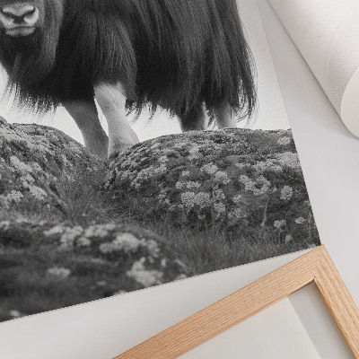 Stampa su tela Eleganza della natura selvaggia in bianco e nero animale