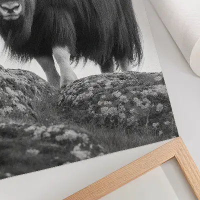Stampa su tela eleganza della natura selvaggia in bianco e nero