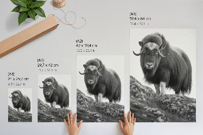 Stampa su tela Eleganza della natura selvaggia in bianco e nero animale