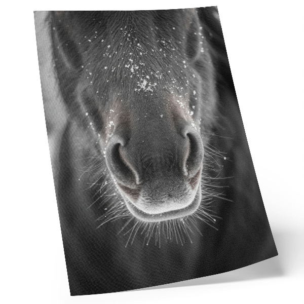 Stampa su tela Primo piano fotorealistico del muso di un cavallo nella neve