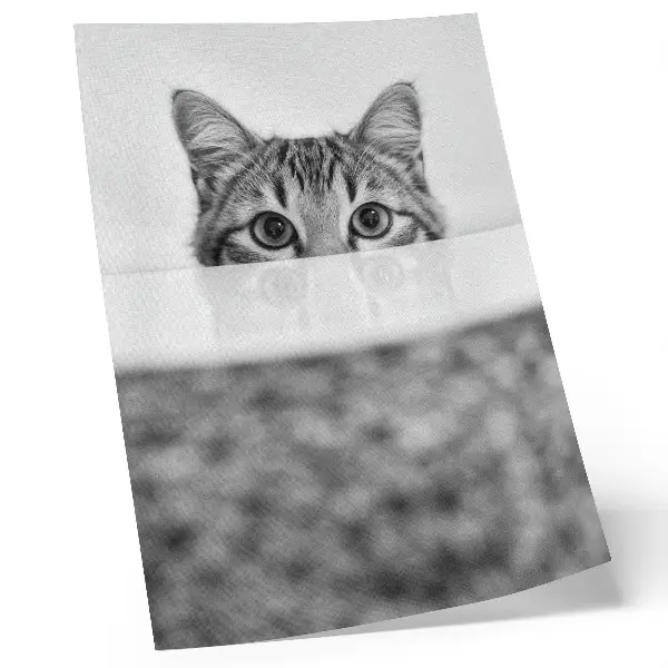 Poster gatto dietro la superficie con design minimalista in bianco e nero