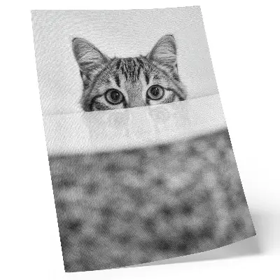 Poster gatto dietro la superficie con design minimalista in bianco e nero