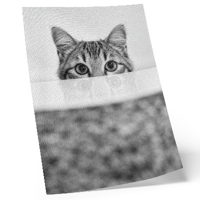 Poster Gatto dietro la superficie, minimalismo in bianco e nero