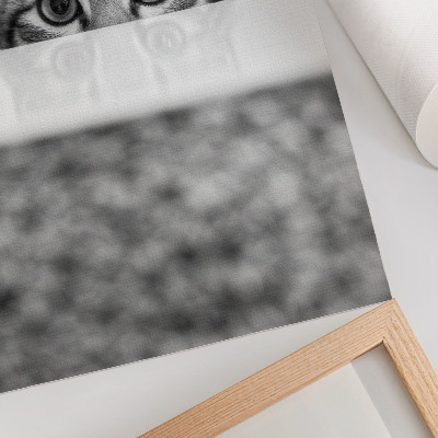 Poster Gatto dietro la superficie, minimalismo in bianco e nero