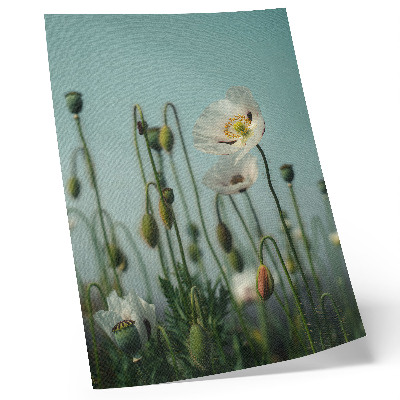 Stampa su tela Papaveri in fiore sotto un cielo azzurro