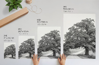 Stampa su tela Albero monumentale, paesaggio pacifico che si estende