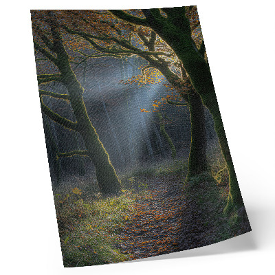 Foto su tela Luce autunnale magica della foresta, atmosfera pacifica