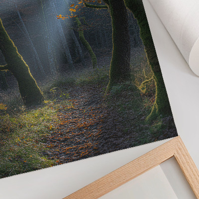 Foto su tela Luce autunnale magica della foresta, atmosfera pacifica