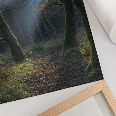 Foto su tela luce autunnale magica della foresta con atmosfera pacifica