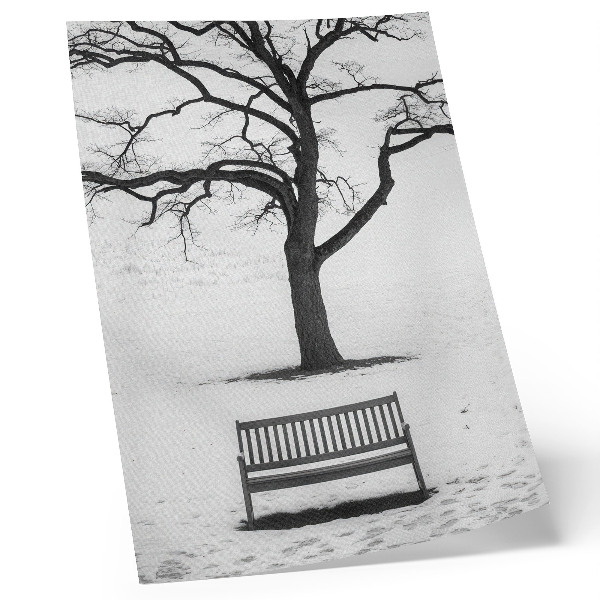 Foto su tela Paesaggio minimalista con un albero e una panchina.