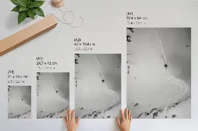 Poster geometria del movimento perfetta con dinamica sportiva in scena invernale