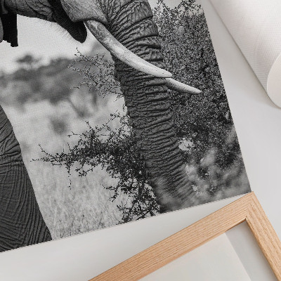 Foto su tela Primo piano di un elefante, bellezza naturale e armonia di texture.