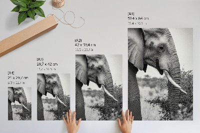 Foto su tela Primo piano di un elefante, bellezza naturale e armonia di texture.