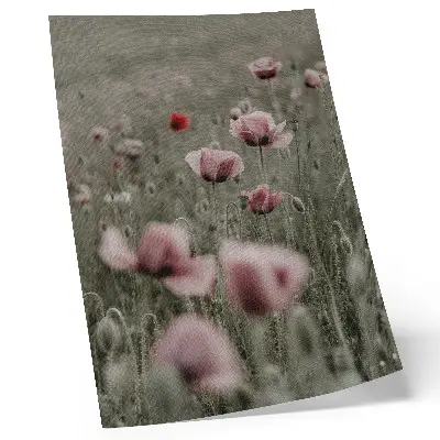 Poster con papaveri dai toni pastello che evocano un'atmosfera romantica di fiori delicati