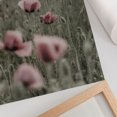 Poster papaveri pastello, atmosfera romantica, fiori delicati