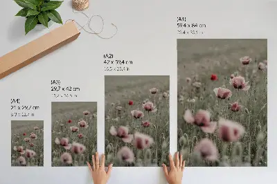 Poster con papaveri dai toni pastello che evocano un'atmosfera romantica di fiori delicati