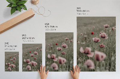 Poster papaveri pastello, atmosfera romantica, fiori delicati