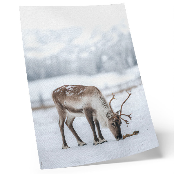 Foto su tela Renne nella neve, natura, pace, eleganza