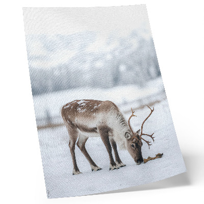 Foto su tela Renne nella neve, natura, pace, eleganza