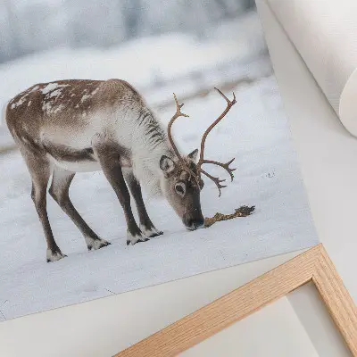 Foto su tela renne nella neve in un'atmosfera di natura e pace