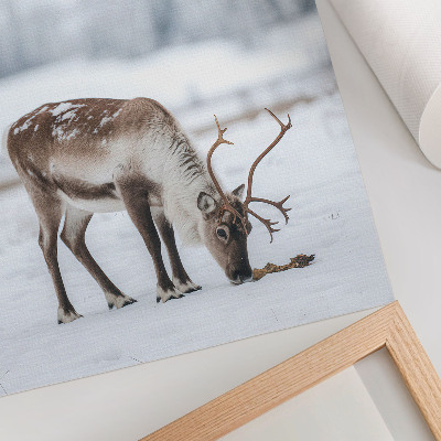 Foto su tela Renne nella neve, natura, pace, eleganza