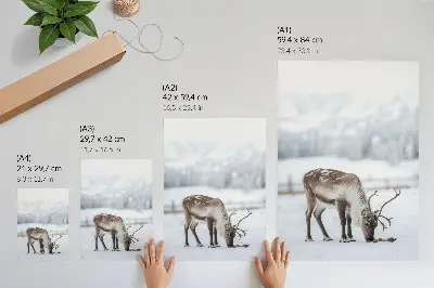 Foto su tela renne nella neve in un'atmosfera di natura e pace