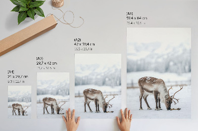 Foto su tela Renne nella neve, natura, pace, eleganza