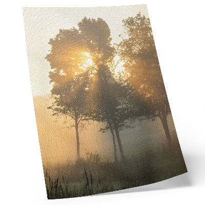 Poster Alba nebbiosa luce calda alberi ispirazione
