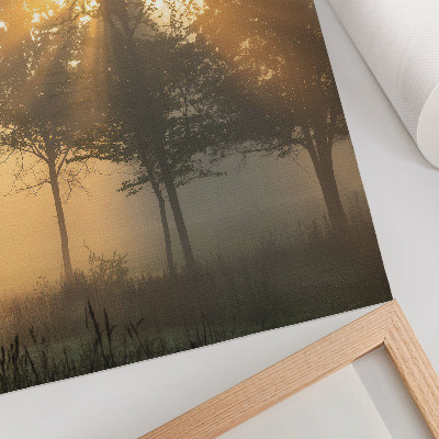 Poster Alba nebbiosa luce calda alberi ispirazione