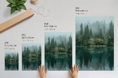Poster il verde della foresta che si riflette nell'acqua attraverso la nebbia