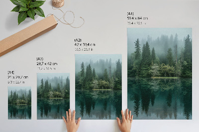 Poster Il verde della foresta si riflette nell'acqua attraverso la nebbia.