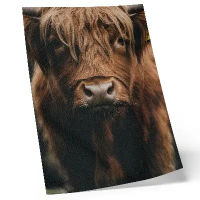 Poster ritratto di un animale con pelliccia rustica in un'atmosfera ricca di dettagli
