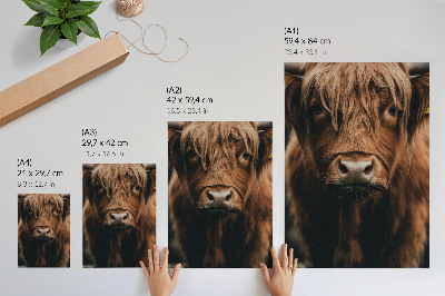 Poster Ritratto di animale in pelliccia rustica atmosfera dettaglio