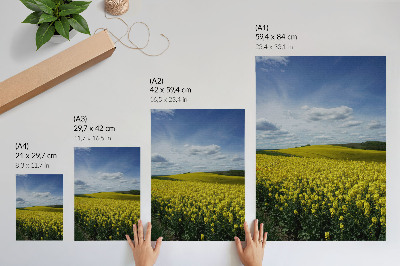 Stampa su tela Campi gialli in contrasto con il cielo blu