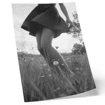Poster fotografia in bianco e nero di un prato in armonia