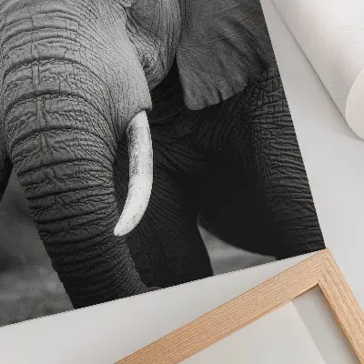 Foto su tela primo piano di un elefante che trasmette pace e forza