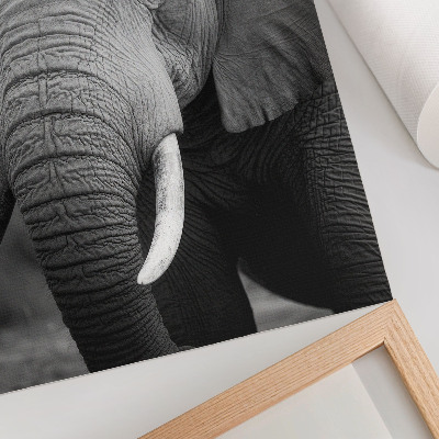 Foto su tela Un primo piano di un elefante pieno di pace e forza