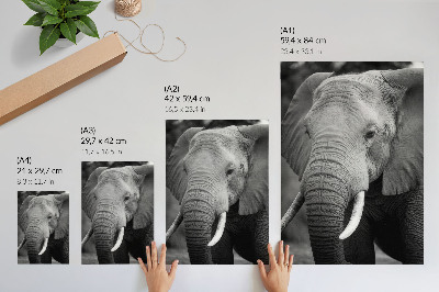 Foto su tela Un primo piano di un elefante pieno di pace e forza