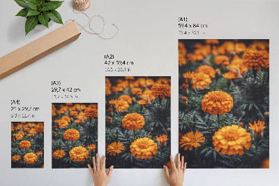 Foto su tela Fiori arancioni, foglie verdi, classico